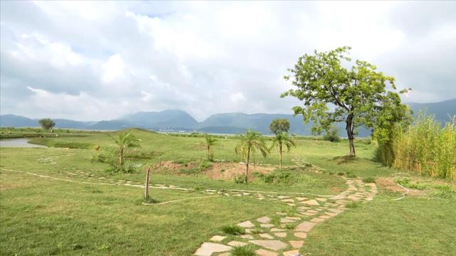 福保村打卡热 家门口的“诗和远方”