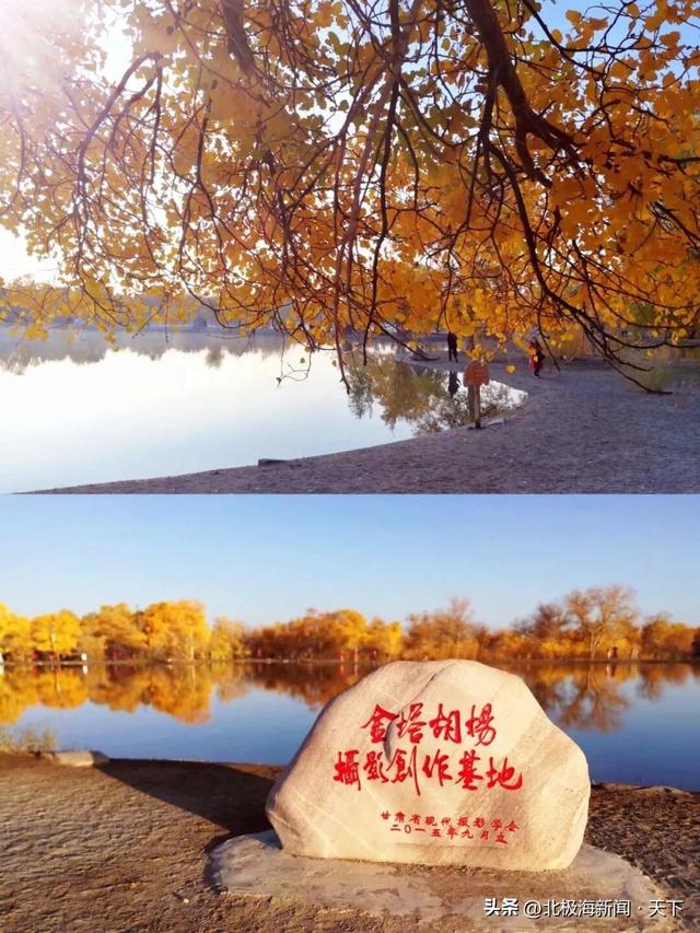 甘肃‖金塔胡杨林，秋韵漫时光
