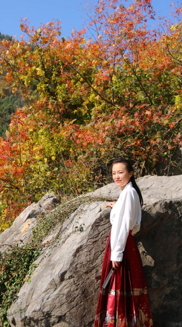 彩林幻境，裂谷新章！熊耳山第二届彩林文化季10月26日盛大启幕