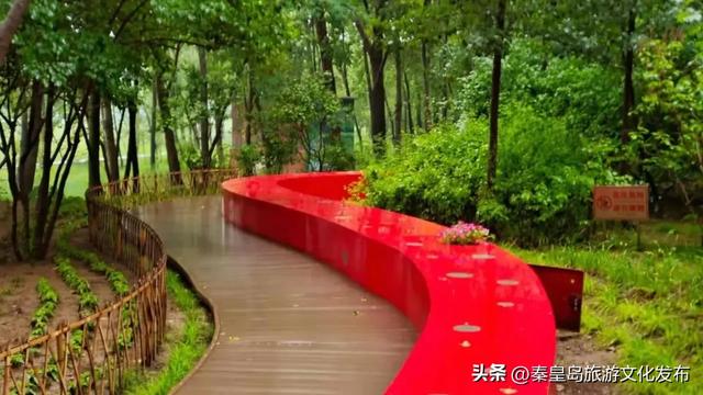 统统免费！秦皇岛家门口的这些好去处，千万别错过！