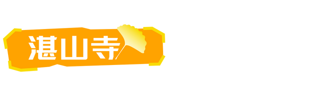 生为山东「银」，何其有「杏」！