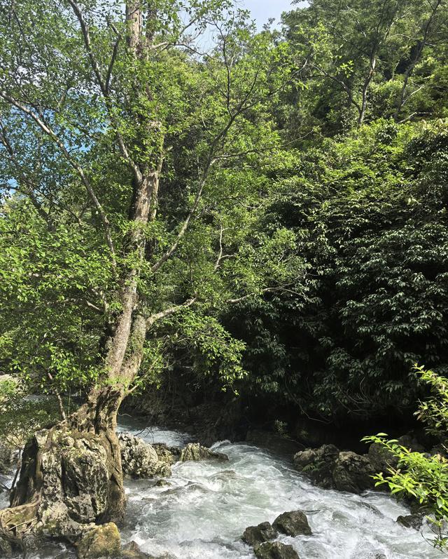 “地球腰带上的绿宝石”，荔波小七孔：一首流动的诗！