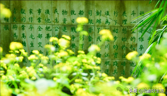 北碚公园竟是"大熊猫"命名地，原来藏着这么多秘密