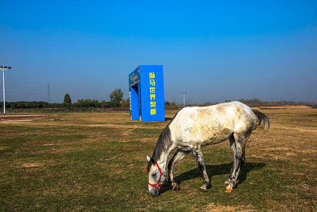 宿州黄河故道，被泥土封存的记忆，秋天充满诗意，是休闲游好去处