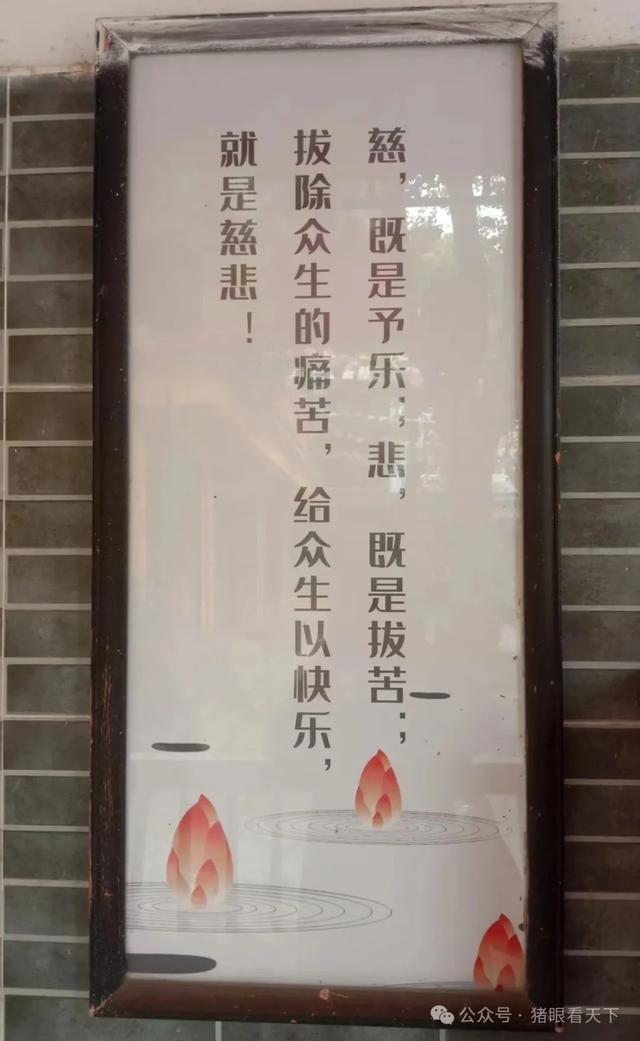 一次浦东乡村的深度二日游