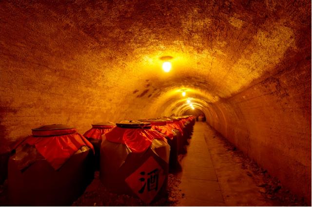 秋假来了！在邛崃可以带娃这样玩→