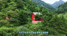 被武华山美到窒息……原来真有现实版世外桃源啊！