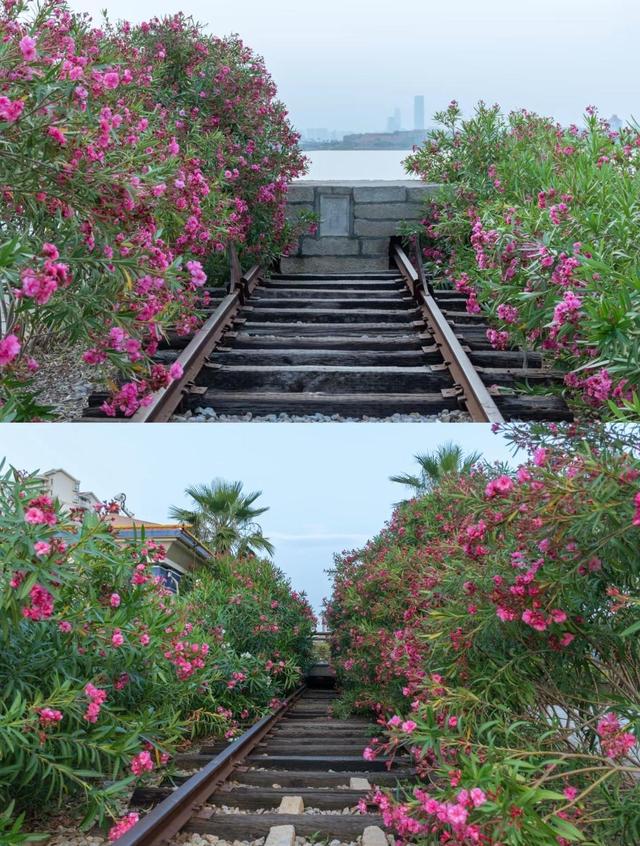 厦门时光海岸，一个网红打卡拍照景点，废弃盐业码头实现华丽转身