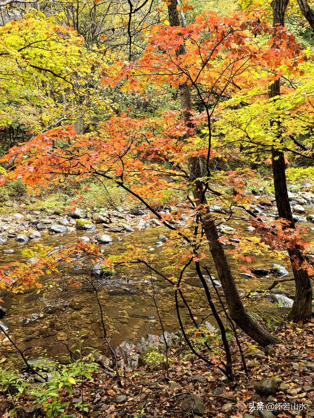 2025辽宁赏秋之旅日记(2)——游览丹东蒲石河森林公园