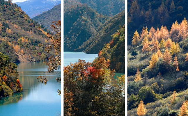 走不出这画了，我已被平武的彩林迷倒！