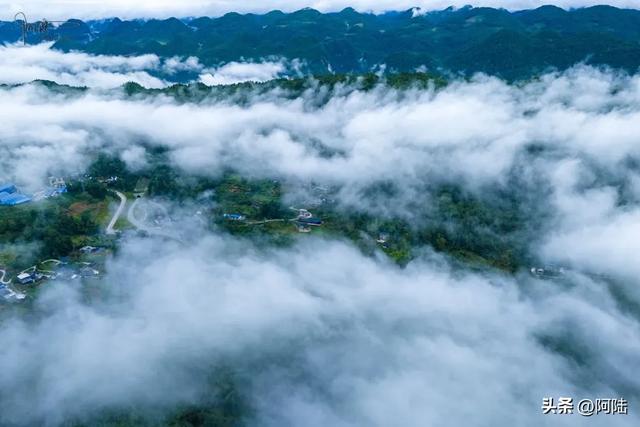 太子尖终于着火了,从前几年变得臭哄哄开始,一切都是必然
