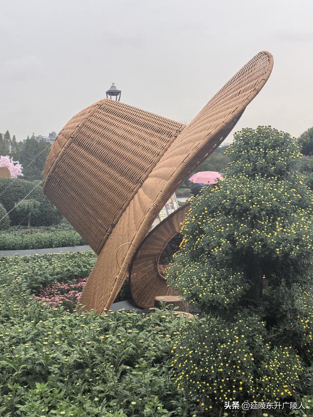 武进新天地公园菊花展 乡村田园风 今年又不同