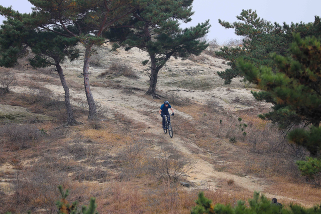 英国友人解码棋山魅力