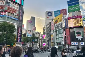 有幸去了趟广州，说些大实话，广州人的生活，让我大开眼界图片