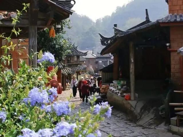 倒计时7天！解锁2025普洱茶咖博览会的N种宝藏玩法