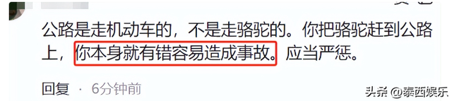 反转！游客被青海牧民殴打，是游客有错在先，7只骆驼遭惊吓丢失