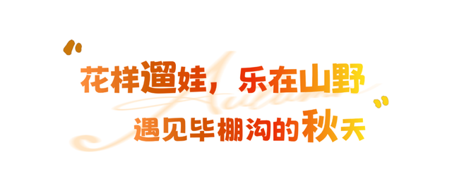彩林逢初雪！毕棚沟2025“花样遛娃”徒步活动收获满满！