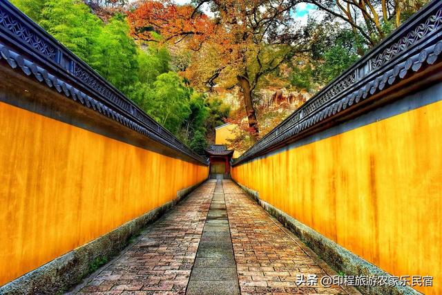 新昌赏秋正当时，这五个必游景点今秋必去，云海农家乐推荐