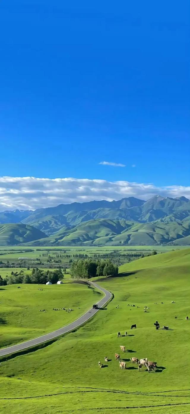 壁纸| 人生如旅途，一边再见，一边遇见