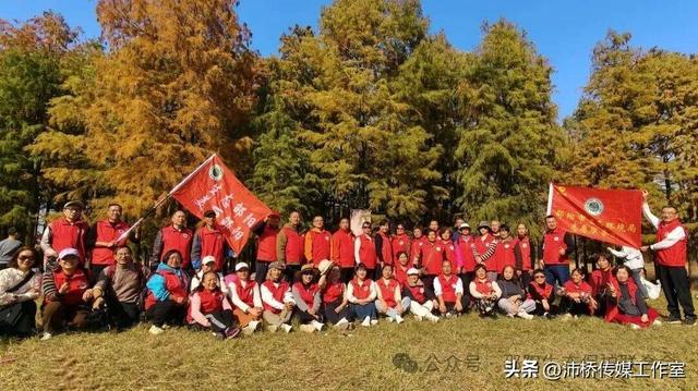 最美水杉林里志愿红