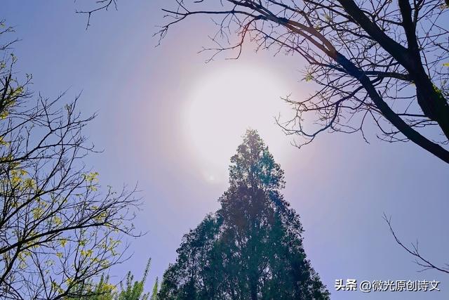一路繁花，温暖时光。