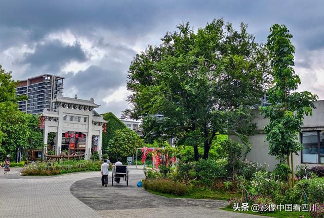 广东鹤山：古劳水乡引客来