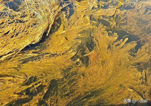 2025我的寻秋之旅D12 五大连池—北安