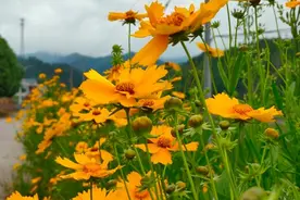 惊人的“穷人定律”：为什么一家人再努力，也富不起来图片