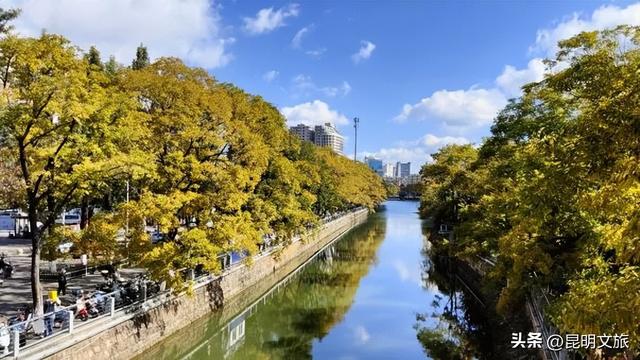 全屏“封神”！这可是昆明初冬的超绝顶流！保姆级攻略来袭，趁天晴立马冲！