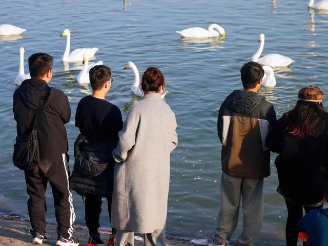 冬日周六晴好，邂逅热闹苍龙湖