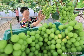 有高人预测，2024年下半年，农村将回到30年前的繁荣图片