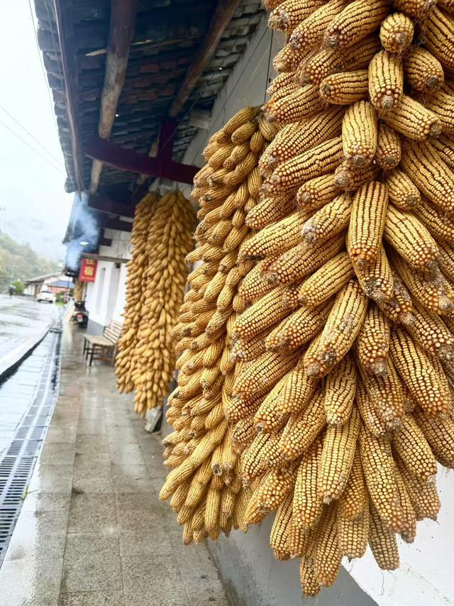 黄柏塬：山居听雨