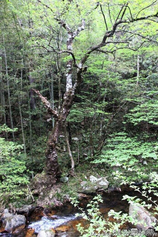 水口景区小记（江西之旅第八十八篇）