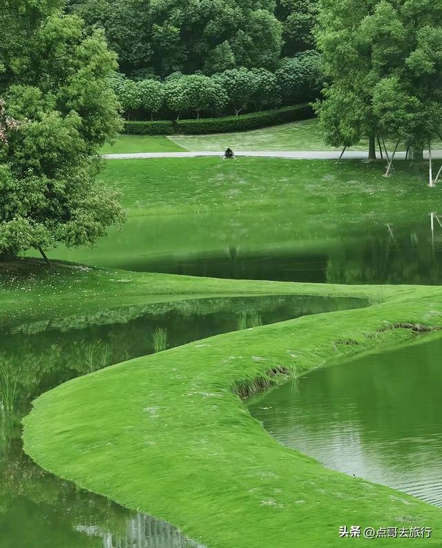 成都天府新区超级冷门公园，本地人私藏的精华，不要门票！