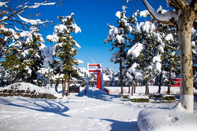 威海荣成“那香海第二届天鹅童话节”来了！ 邀您闯入有雪有海有天鹅的冬日胜境~