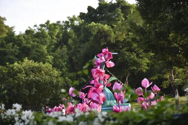 从深业上城到莲花山，这段路绝了！