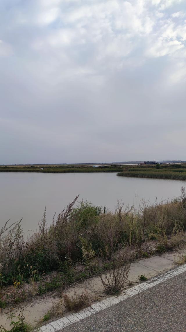包头城南靠近黄河的昭君湖，也叫小白河景区，黄河浩渺，湖平如镜