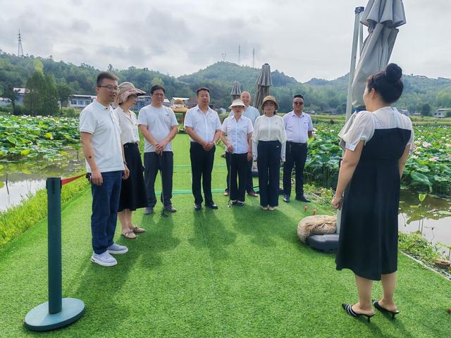 汉阴县双乳镇集镇社区人大代表联络站 | 考察荷塘景韵 建言发展新篇