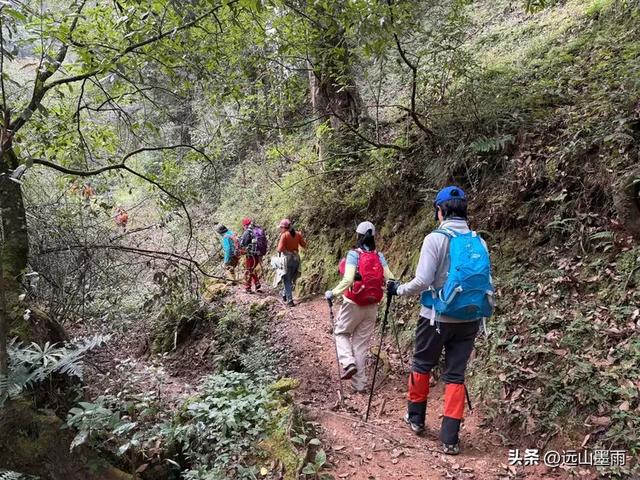 徒步武定香水箐，赏野草香飘、听溪流淙淙，徜徉绿水青山中，惬意