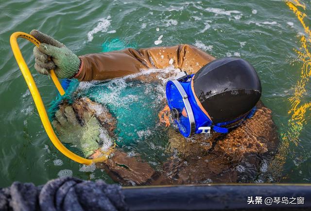 马尔代夫惊魂：专业潜水员被遗忘35分钟，暴露潜水行业三大漏洞