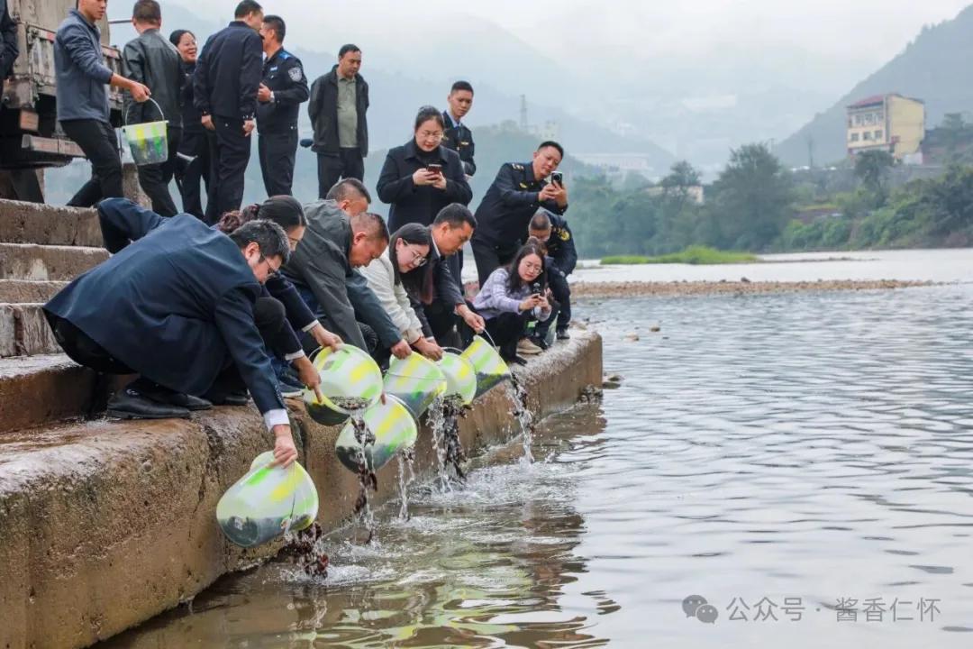 川黔联合启动赤水河流域执法行动 19万余尾胭脂鱼放流赤水河(图2) 川黔联合启动赤水河流域执法行动 19万余尾胭脂鱼放流赤水河(图2)