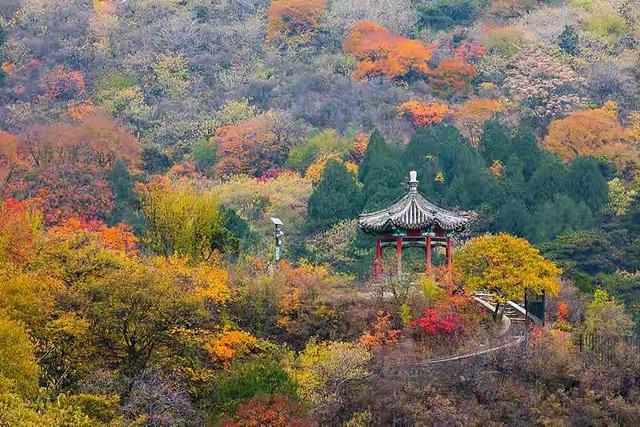 霜降已到全国红叶上线中！这四大“出片宝地”美到封神！