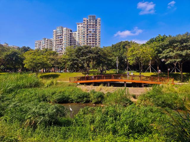 从学苑大道入大沙河绿过大学城后进深圳弯公园流花山景点【高清】