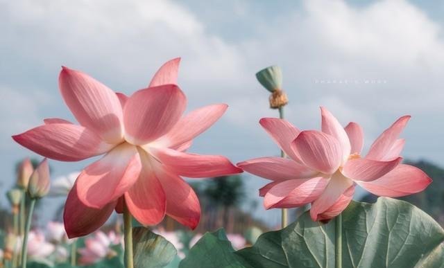 过了50岁，尽量不要让身边的亲人“借运”，避免让自己晚景凄凉