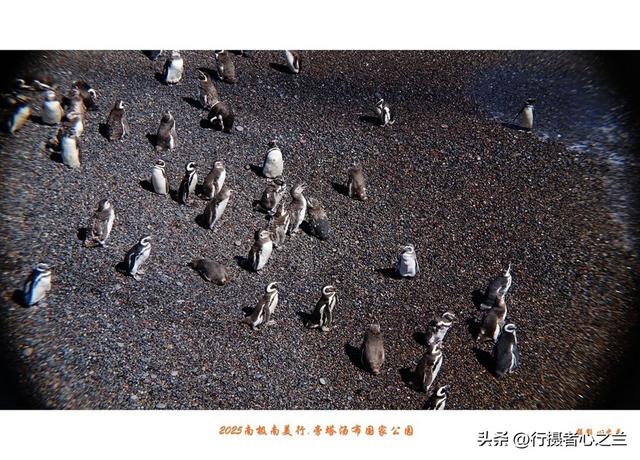 南极南美三国行游影记（79）—阿根廷旁塔汤布国家公园（六）
