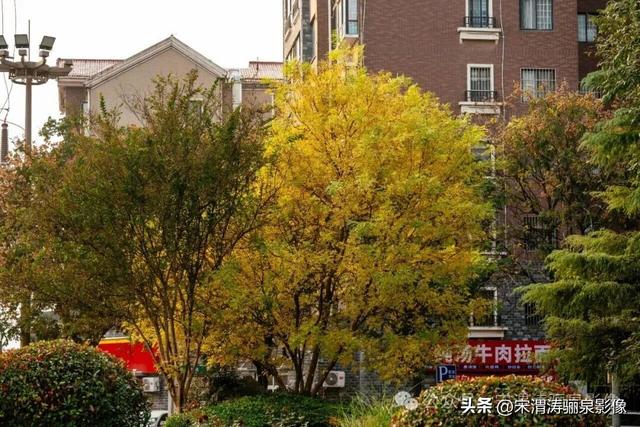 陕西渭南：天晴了 高新区时代广场秋色盎然