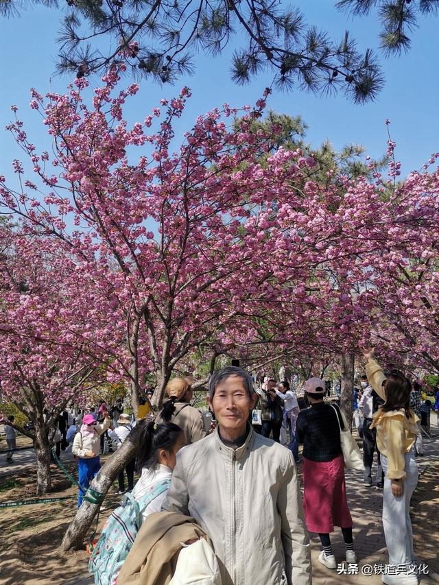 琚木根||回忆铁12师在北京永定路 和平里 马神庙三个驻地的师部大院