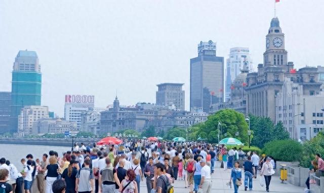 边牧撞碎100万玉镯，被主人暴打后卖到狗肉馆，3天后主人回家傻眼