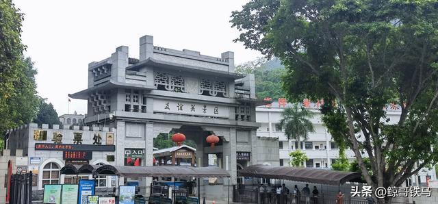 为什么我从东兴到凭祥走219国道的297公里用了9小时