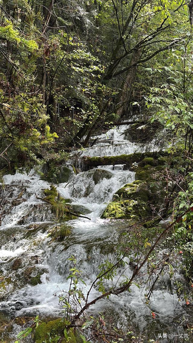 在九寨沟旅游，花300元请了个野生导游，结果却一言难尽